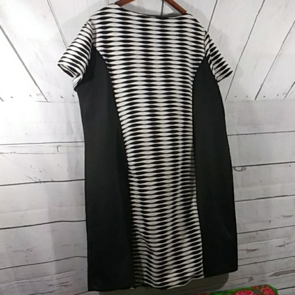 Emma & Michele 24W Black and White Sheath Dress - Picture 5 of 5